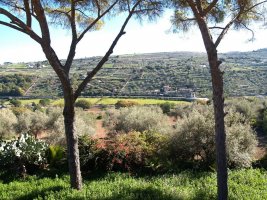 Agriturismo c.da Fasana - Modica